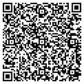 QR code with Tadco contacts
