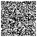QR code with Cellular Connection contacts