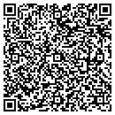 QR code with Pro Nail Salon contacts