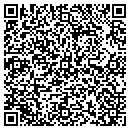 QR code with Borrego Mesa Inc contacts
