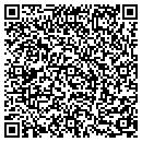 QR code with Chenega FVA Department contacts