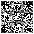 QR code with PVT Networks contacts