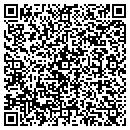 QR code with Pub The contacts