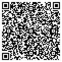 QR code with Ceso contacts