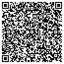 QR code with Professional Window contacts