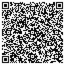 QR code with Public Storage contacts