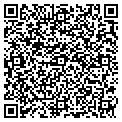 QR code with Vivanz contacts