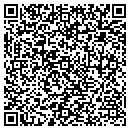 QR code with Pulse Electric contacts