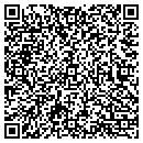 QR code with Charles W Dithrich PHD contacts