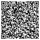 QR code with Pvm Consultants LLC contacts