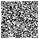QR code with Carl T Jones Jr Co contacts
