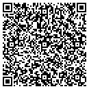 QR code with Pueblo Mechanical contacts
