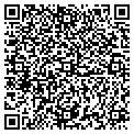 QR code with Gavin contacts