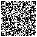 QR code with Ava's contacts