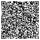 QR code with Premier NDT Service contacts