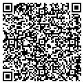 QR code with Tilt contacts