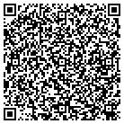 QR code with Pulse Power Physics Inc contacts