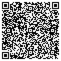 QR code with Tilt contacts