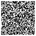 QR code with Bealls contacts