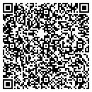 QR code with Croi Technologies Inc contacts