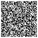 QR code with Borrego Pass School contacts