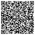 QR code with Lillies contacts