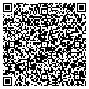 QR code with Ceki's Pro-Painters contacts