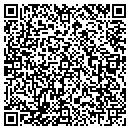QR code with Precious Little Ones contacts
