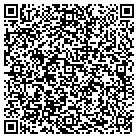 QR code with Public Access Channel 8 contacts