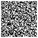QR code with Pulse Systems Inc contacts