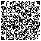 QR code with Public Art Program contacts
