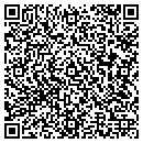 QR code with Carol Ambabo CPA PC contacts