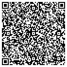 QR code with Pump Systems Intl Inc contacts