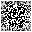 QR code with Public Schools contacts