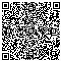 QR code with Pcwise contacts