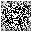 QR code with Bio Analysis contacts