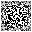 QR code with Tint Masters contacts