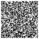 QR code with Protek Services contacts
