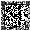 QR code with Metafx contacts