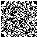 QR code with Pueblo Traders contacts