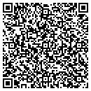 QR code with Blr Consulting Inc contacts