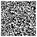 QR code with Carlson Lee Travel contacts
