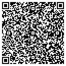 QR code with Brian A Zarikta DDS contacts