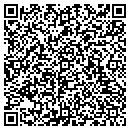 QR code with Pumps Inc contacts