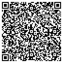 QR code with Carol Jean Curry CPA contacts