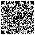 QR code with Studio contacts