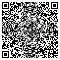 QR code with Shell contacts