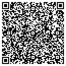 QR code with Pragmatics contacts