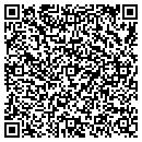 QR code with Cartesian Surveys contacts
