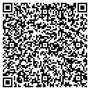 QR code with Carpets & More contacts